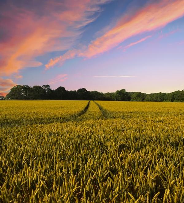 countryside 2326787 960