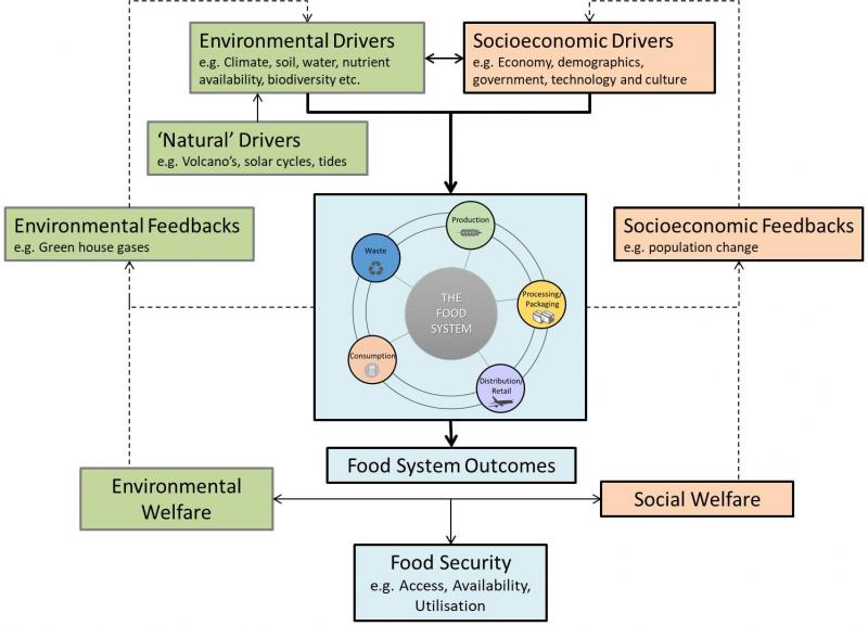 WHAT IS THE FOOD SYSTEM? | Future Of Food