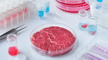 Lab meat adobestock lab meat adobestock