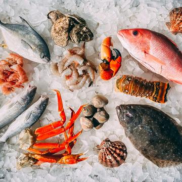 A selection of different fish, clams, crab claws, prawns, lobster tails and oysters is displayed on ice.
