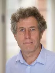 palmer tim