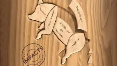 A wooden pig with four removable elements labeled animal welfare, greenhouse gas emissions, antibiotic use, and land use