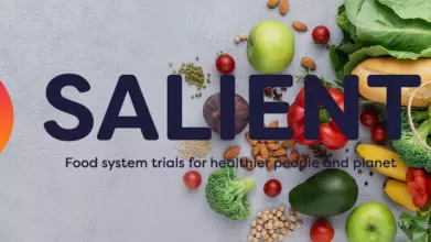 Salient project logo showing a brown bag of groceries 