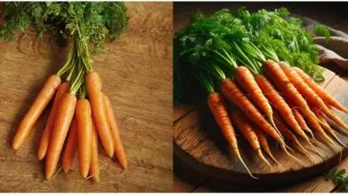 Two images of carrots sit side by side. The image of the left, which shows a bunch of carrots with tops still attached, is taken by a person. The image on the right, which is those same carrots but enhanced, is created by AI