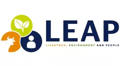 leap primary logo