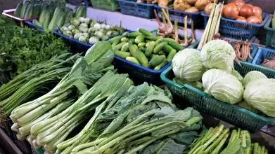 market 3176255