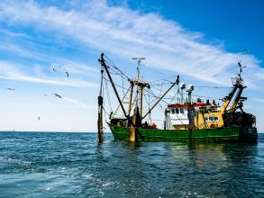 A fishing boat with blue skies around