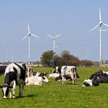east frisia 1302894